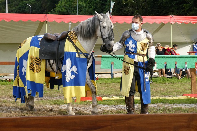 赫内斯指出 赫内斯指出