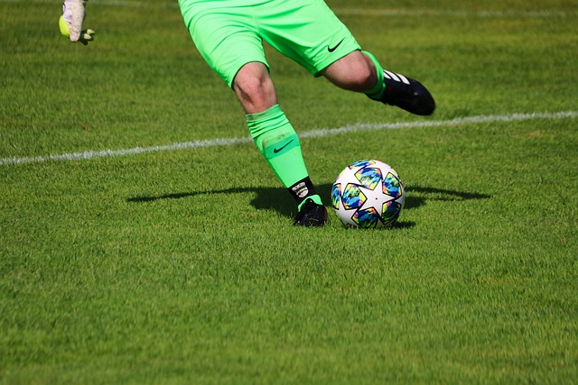 育用品等行 育用品等行