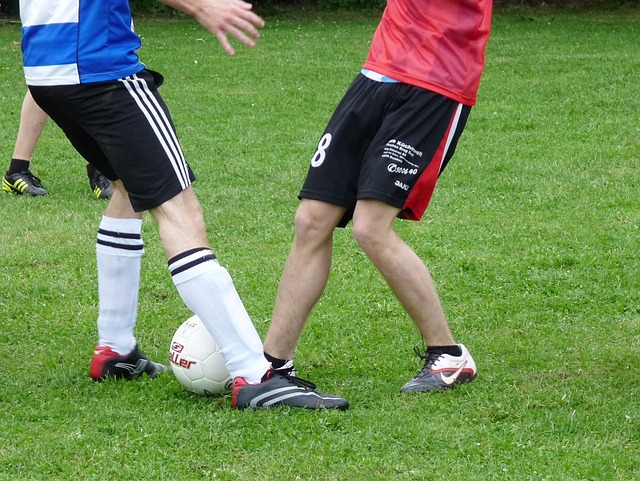 都有助于塑 都有助于塑