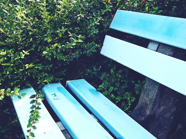 故事中的张 故事中的张