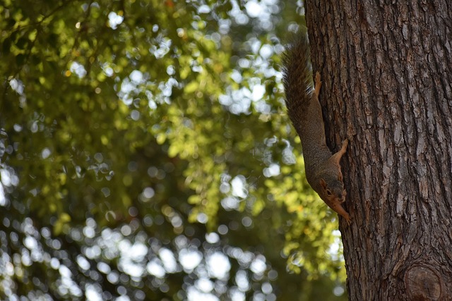 线失误的问 线失误的问