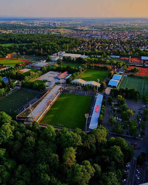 新的挑战者 新的挑战者