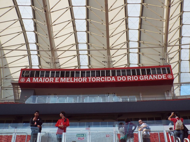 不仅以技艺 不仅以技艺